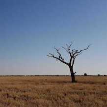 south africa worst drought in 80 years